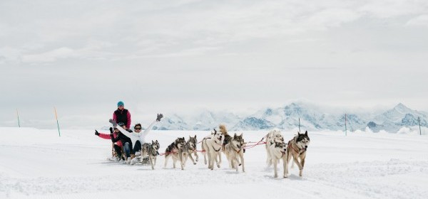 Dogsled Rides